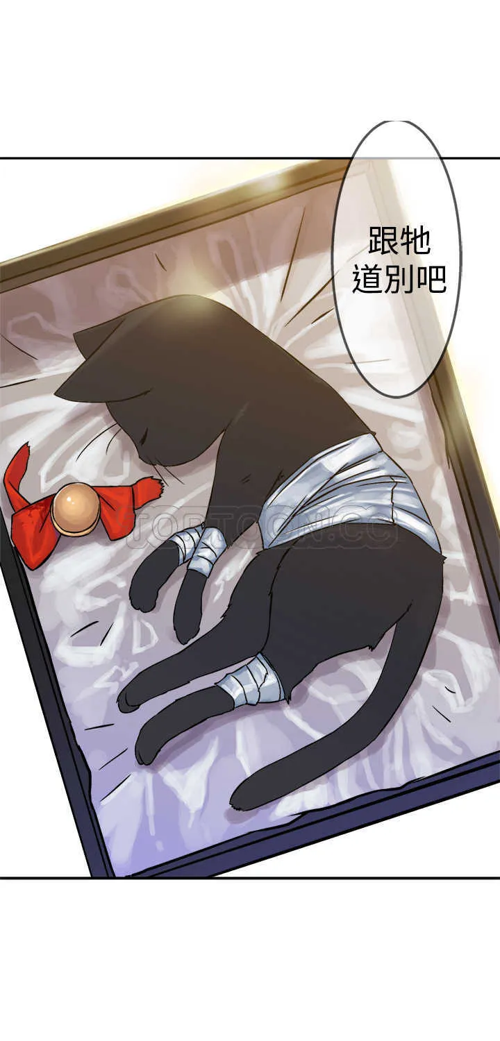 仙女望月什么意思漫画,第17话17图