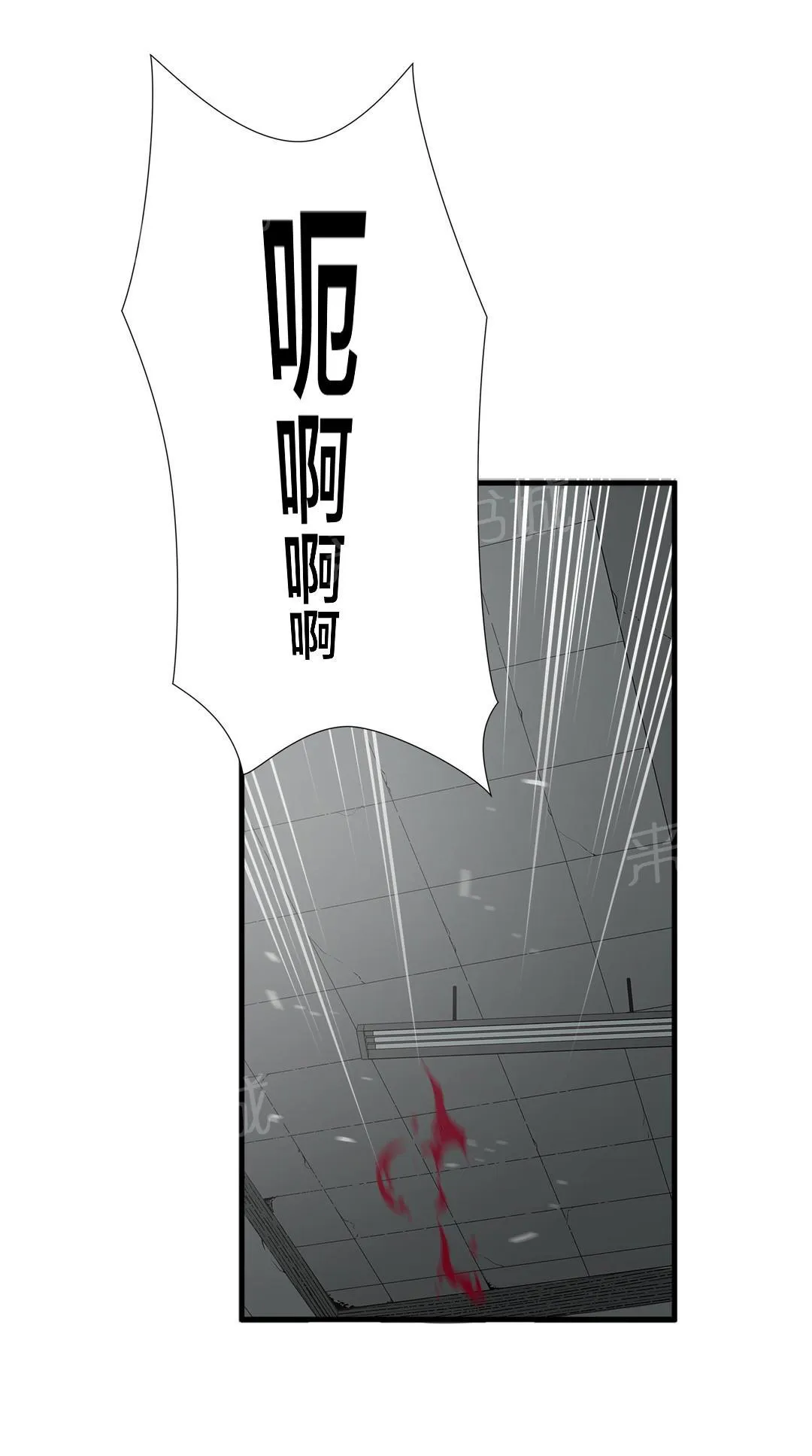 狂徒法则漫画漫画,第67话12图