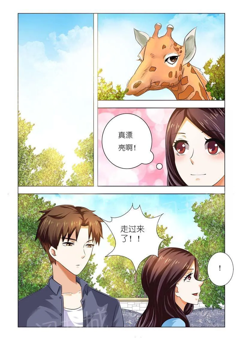 豪门小老婆漫画免费观看全集漫画,第93话6图