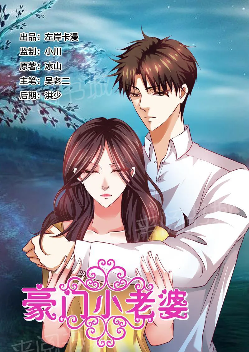 豪门小老婆漫画全集免费观看漫画,第54话1图