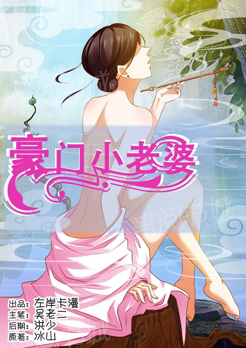 豪门小老婆漫画全集免费观看漫画,第13话1图