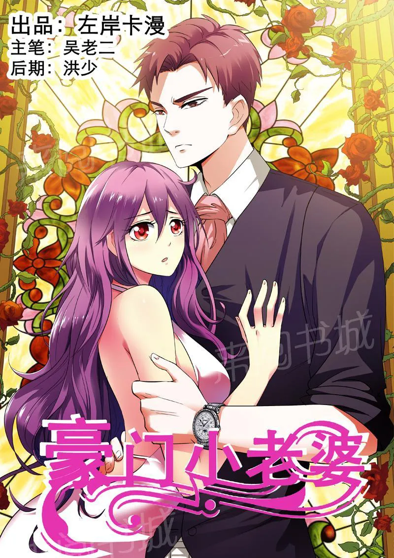 豪门小老婆漫画六漫画,第17话1图