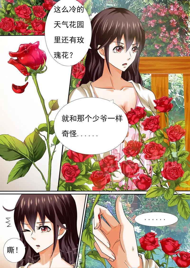 豪门小老婆漫画六漫画,第10话3图
