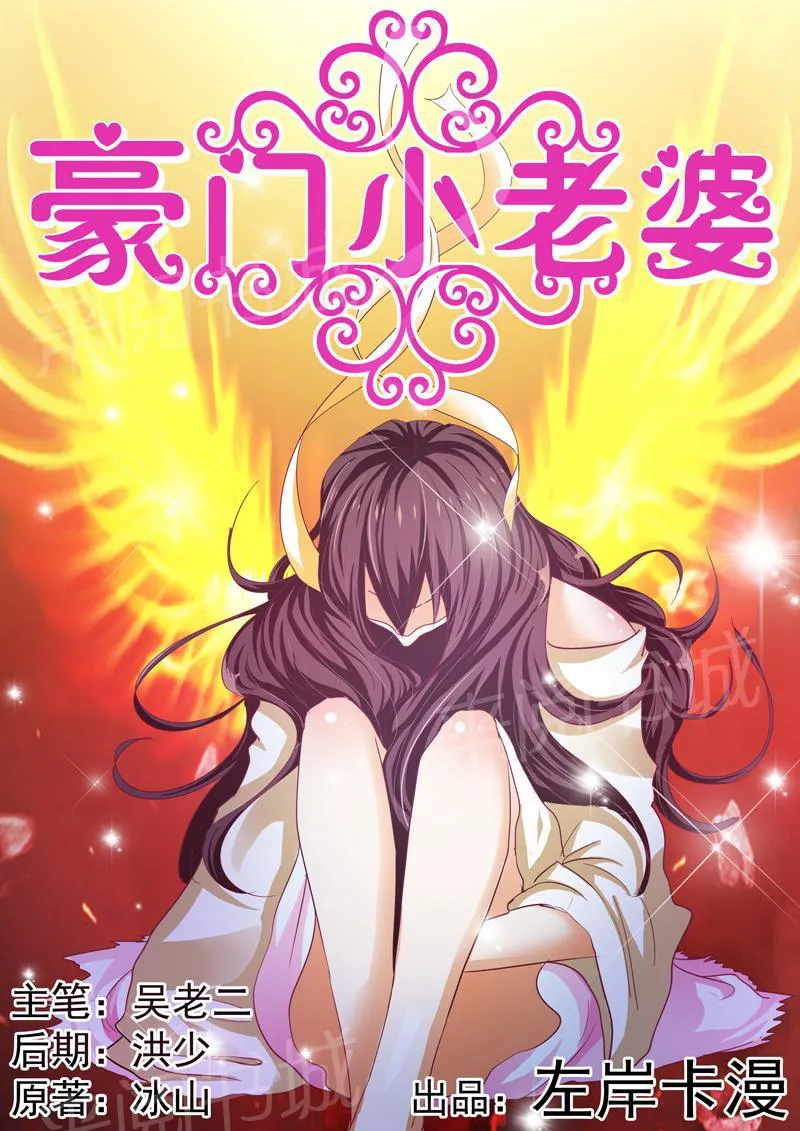 豪门小老婆漫画免费观看全集漫画,第31话1图