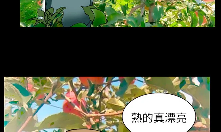 虚荣与谎言漫画漫画,第48话35图