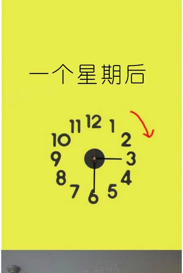 狐狸般的美女图片漫画,第6话24图