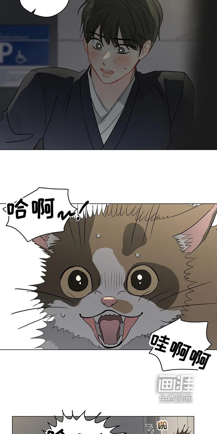奇怪的梦境漫画申亦范漫画,第86章：【第三季】回头15图
