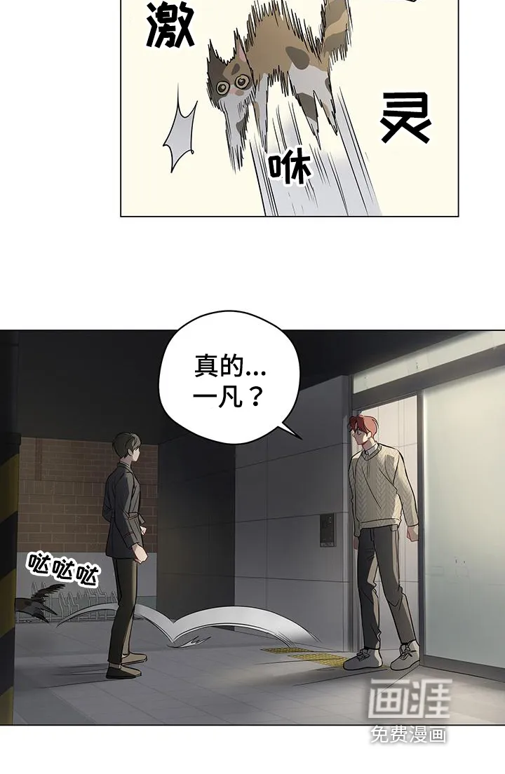 奇怪的梦境漫画申亦范漫画,第86章：【第三季】回头17图