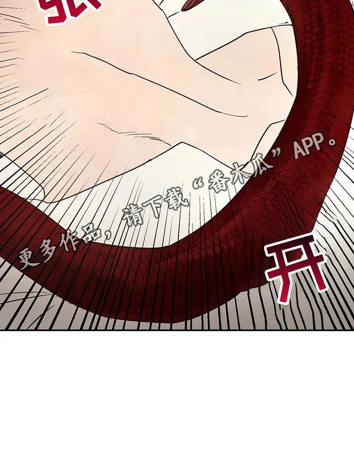 血之诅咒漫画免费看下拉式漫画,第28章：蛇之咒术11图