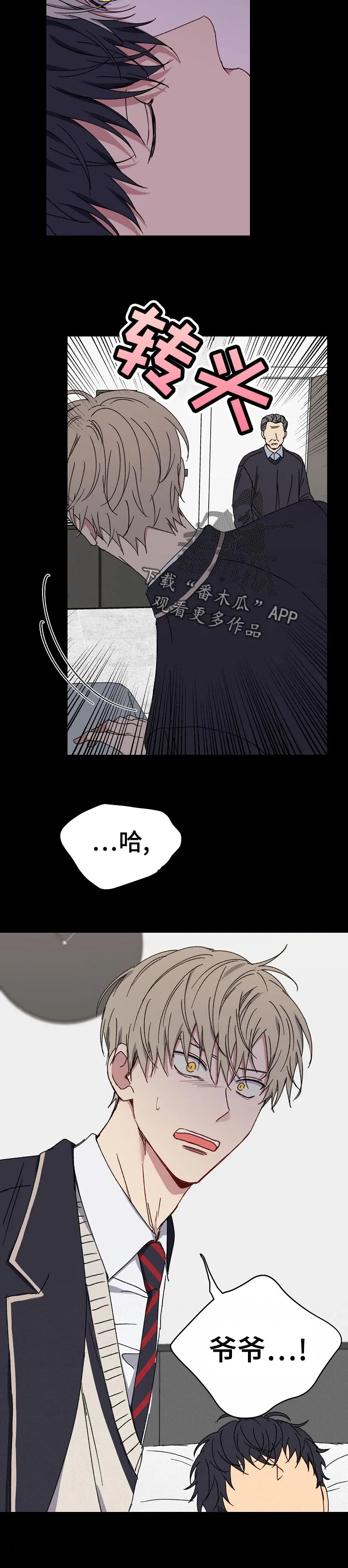 亲密魔咒漫画漫画,第39章：目击12图