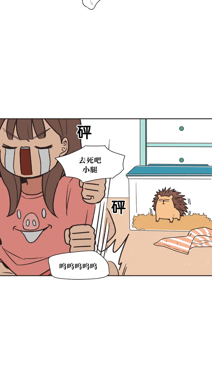 滚蛋吧！肥肉漫画漫画,第12话15图