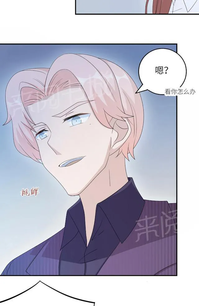 莫少逼婚，新妻难招架漫画漫画,第46话 一丘之貉4图