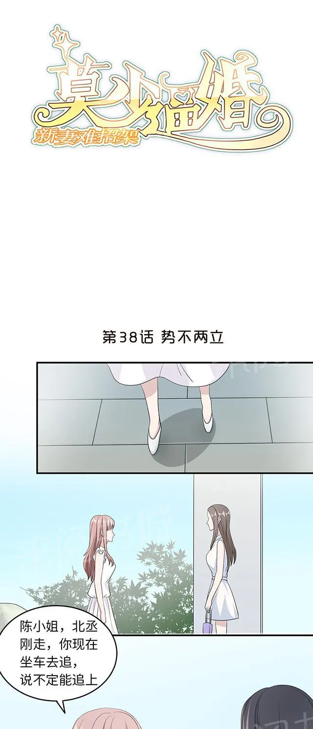 莫少逼婚新妻难招架动漫推荐漫画,第38话 势不两立1图