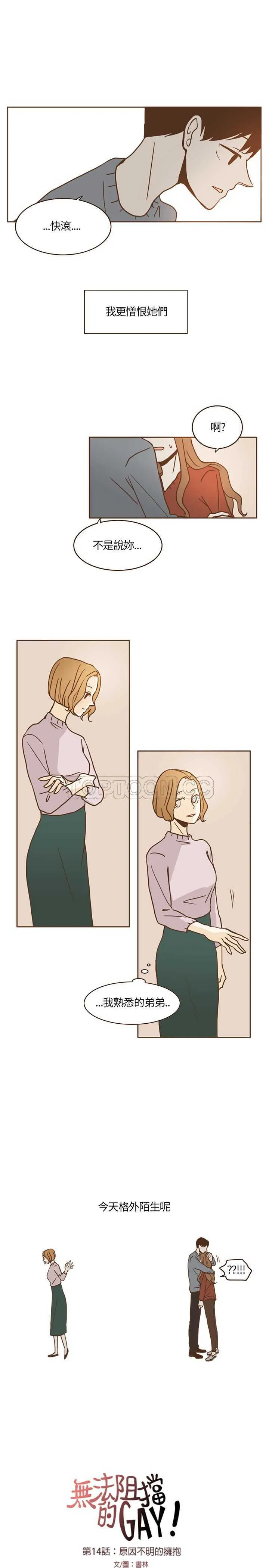无法阻挡的Gay(完結)漫画漫画,第14话17图