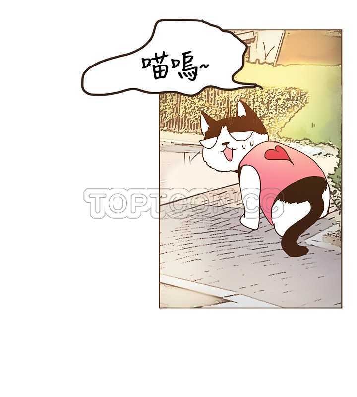 无法阻挡的highkick韩剧网漫画,第10话16图
