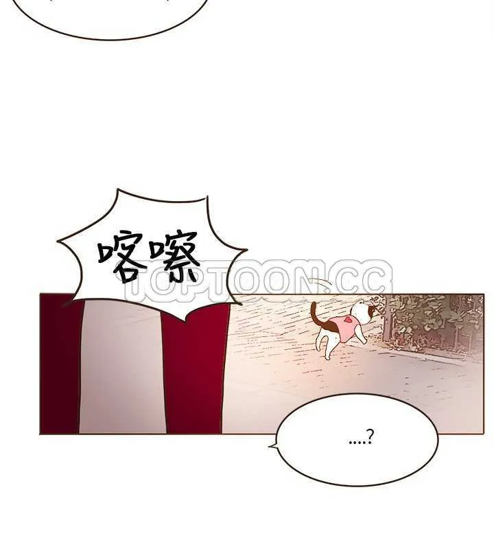 无法阻挡的highkick韩剧网漫画,第10话14图