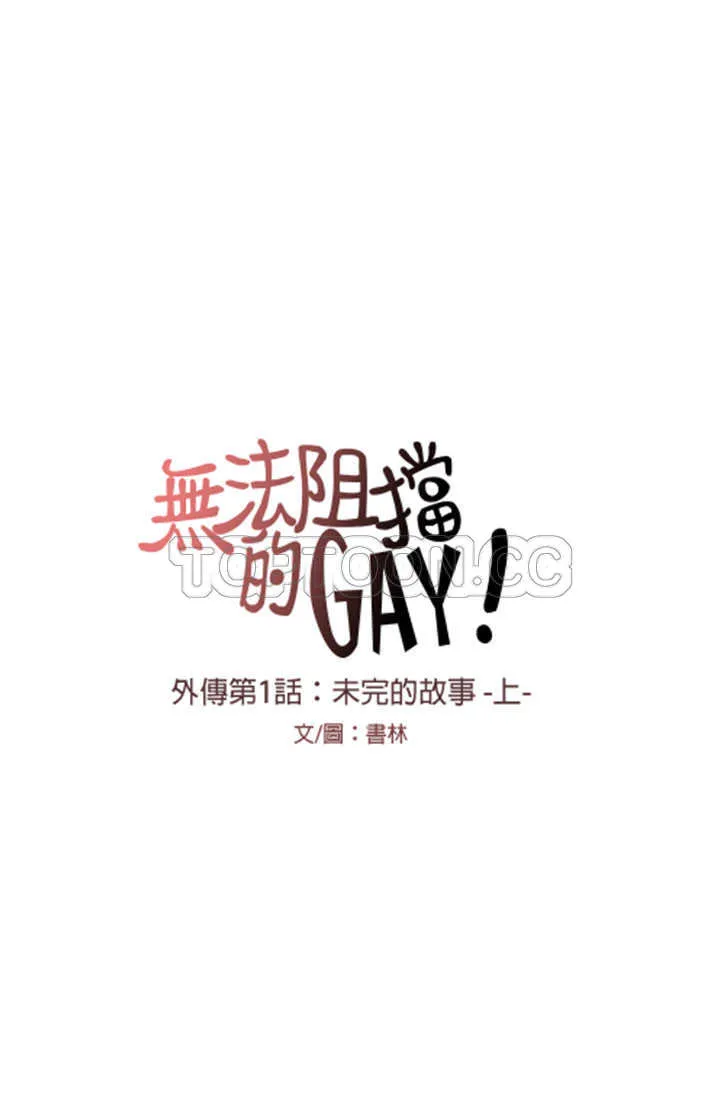 无法阻挡的Gay(完結)漫画漫画,外傳-第1話9图