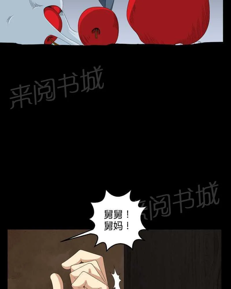 我在殡仪馆工作那些事儿漫画结局漫画,第28话2图