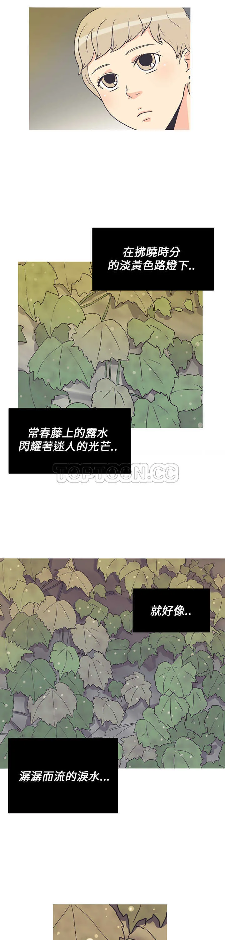 浪漫短篇特辑(完结)漫画漫画,第2话 拂曉常春藤21图