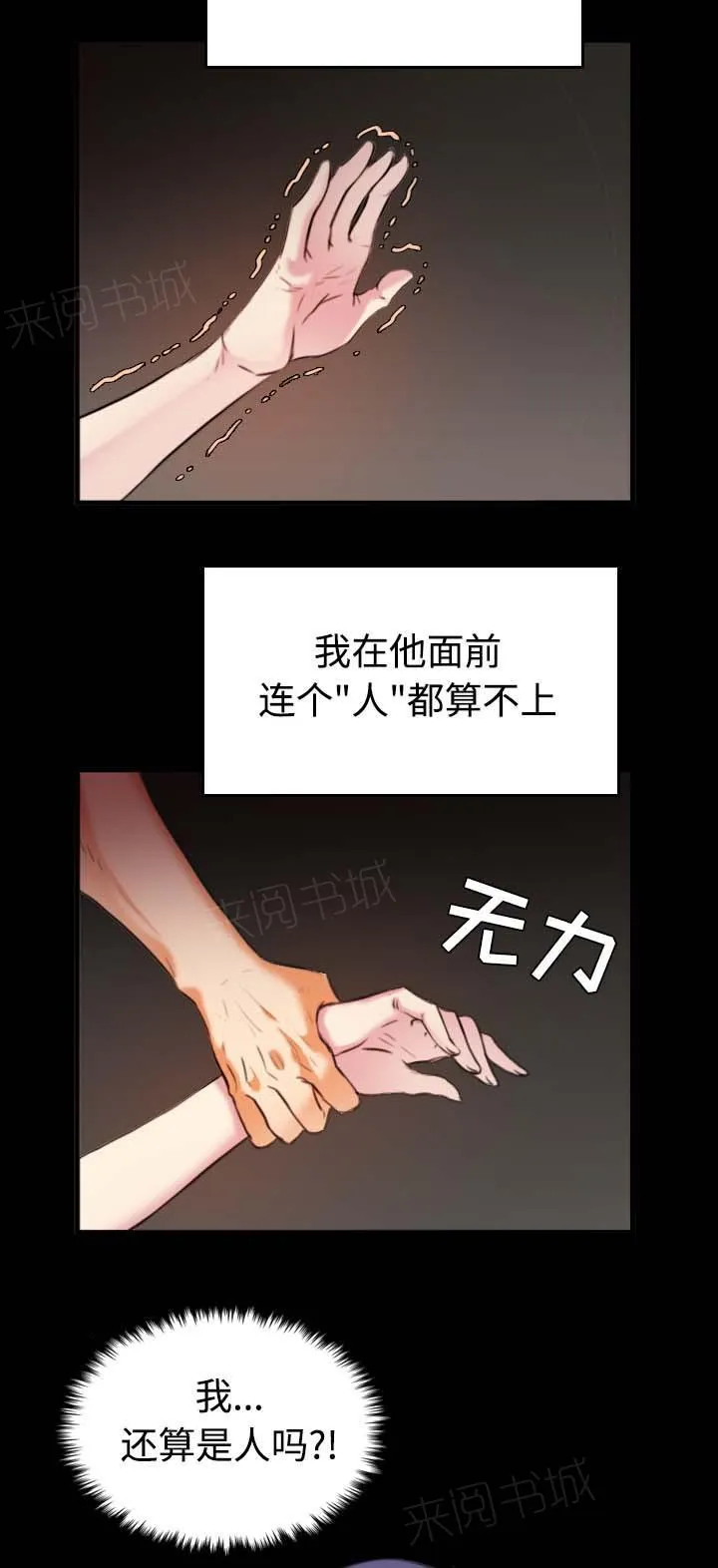 复仇之岛漫画第35话漫画,第50话 回到岛上6图