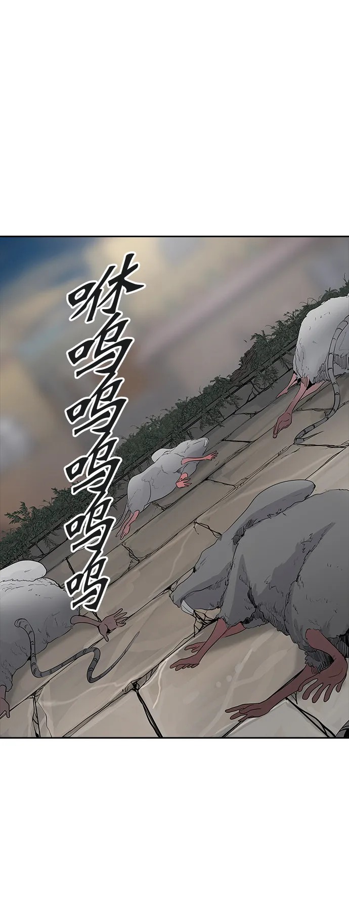 神之塔漫画什么时候更新漫画,第357话49图
