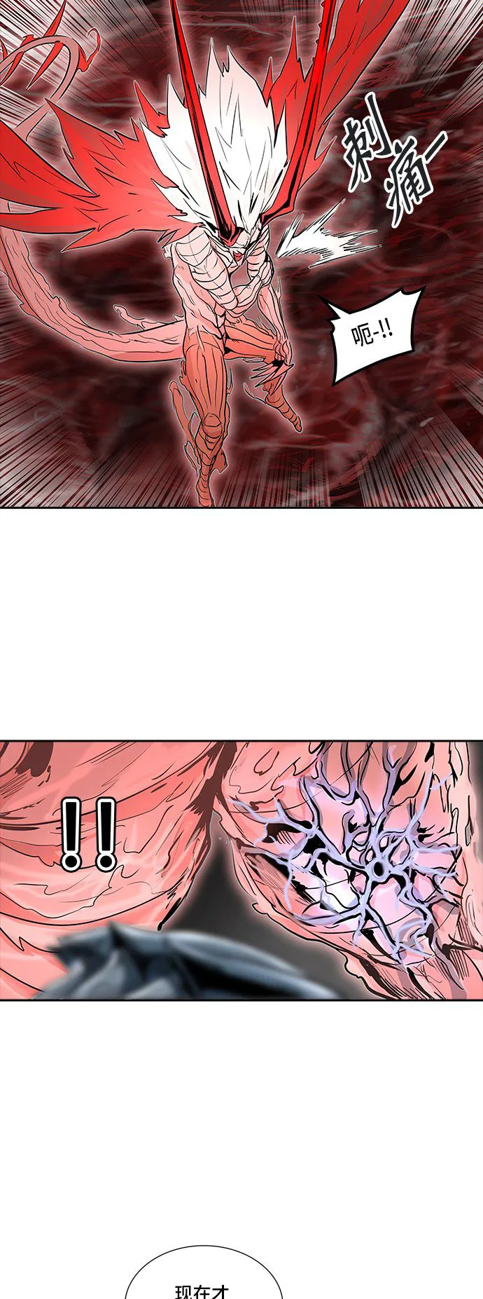 神之塔漫画在哪个软件上能看漫画,第333话59图
