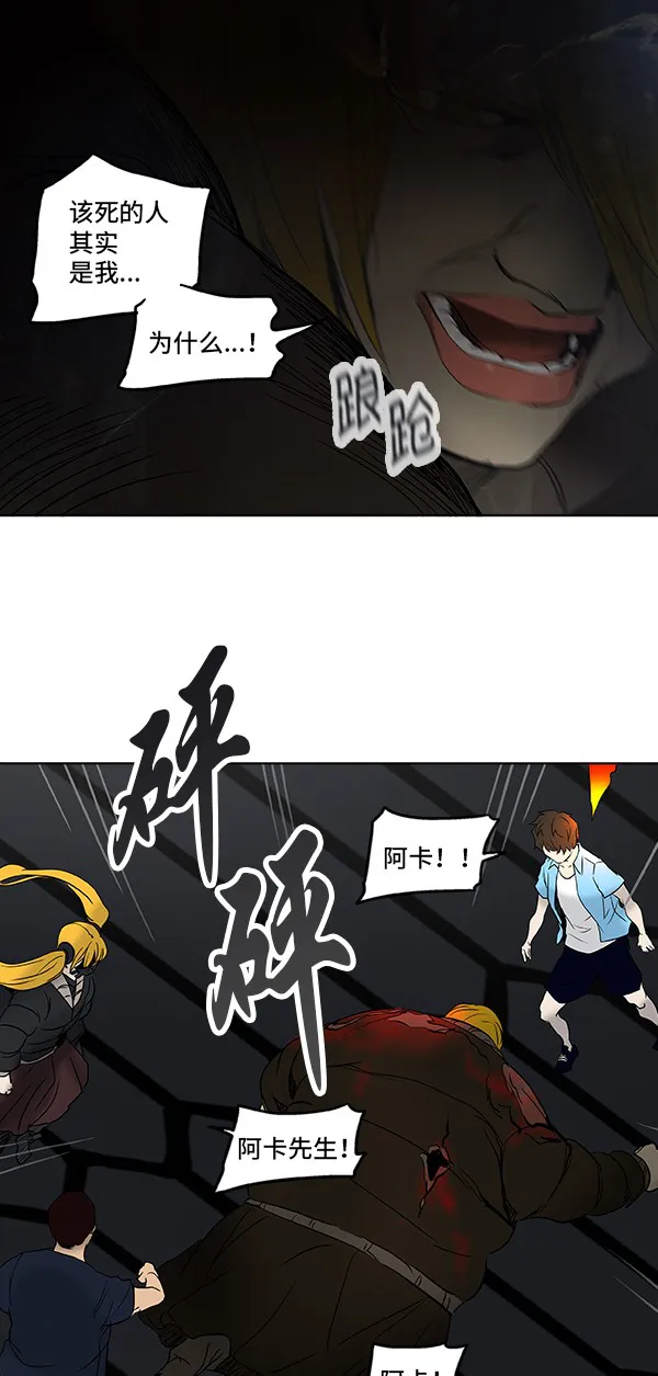 神之塔漫画漫画,第267话14图