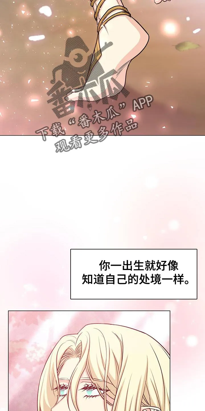 恶魔之月漫画在线免费看漫画,第95章：作战会议10图