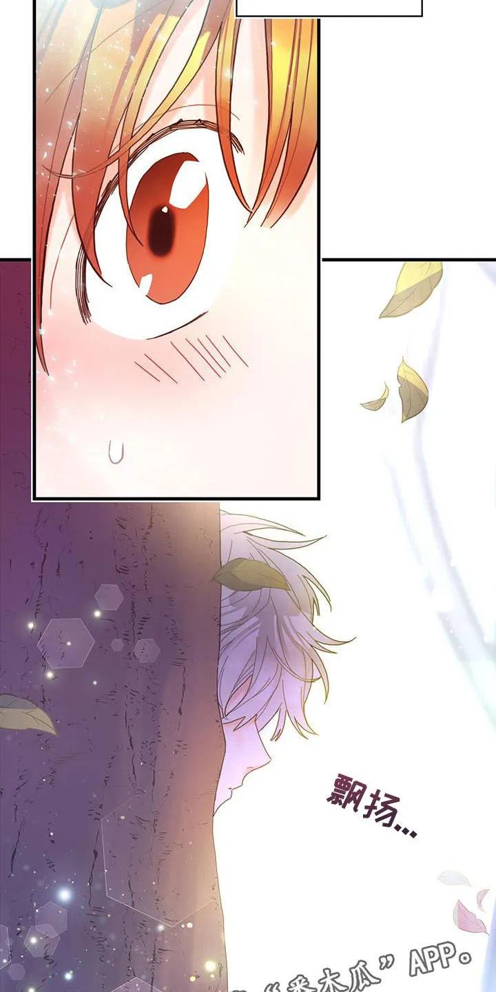 异界漫画小说漫画,第42章：变成猫29图