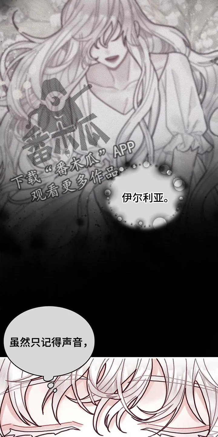 异界漫画小说漫画,第98章：我不喜欢猫19图
