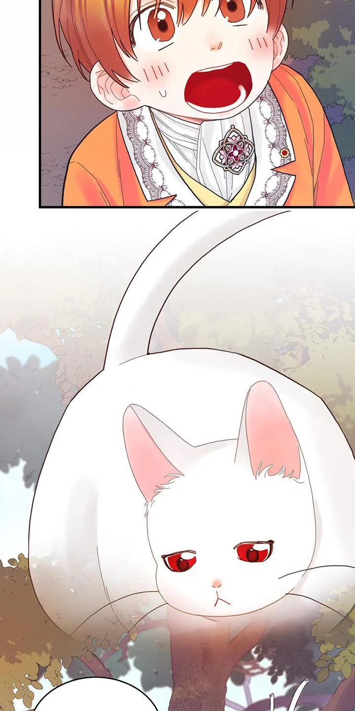 异界漫画小说漫画,第42章：变成猫14图