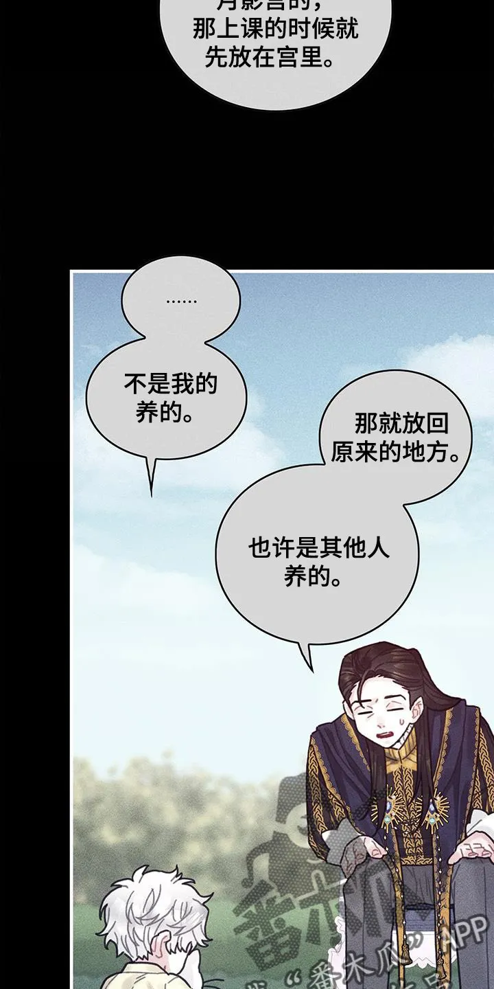 异界漫画小说漫画,第98章：我不喜欢猫27图