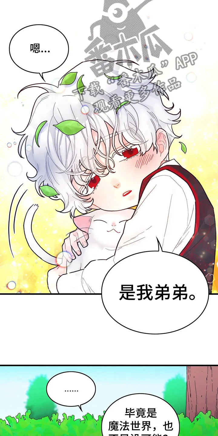 异界攻略漫画漫画,第9章：也是皇子？9图