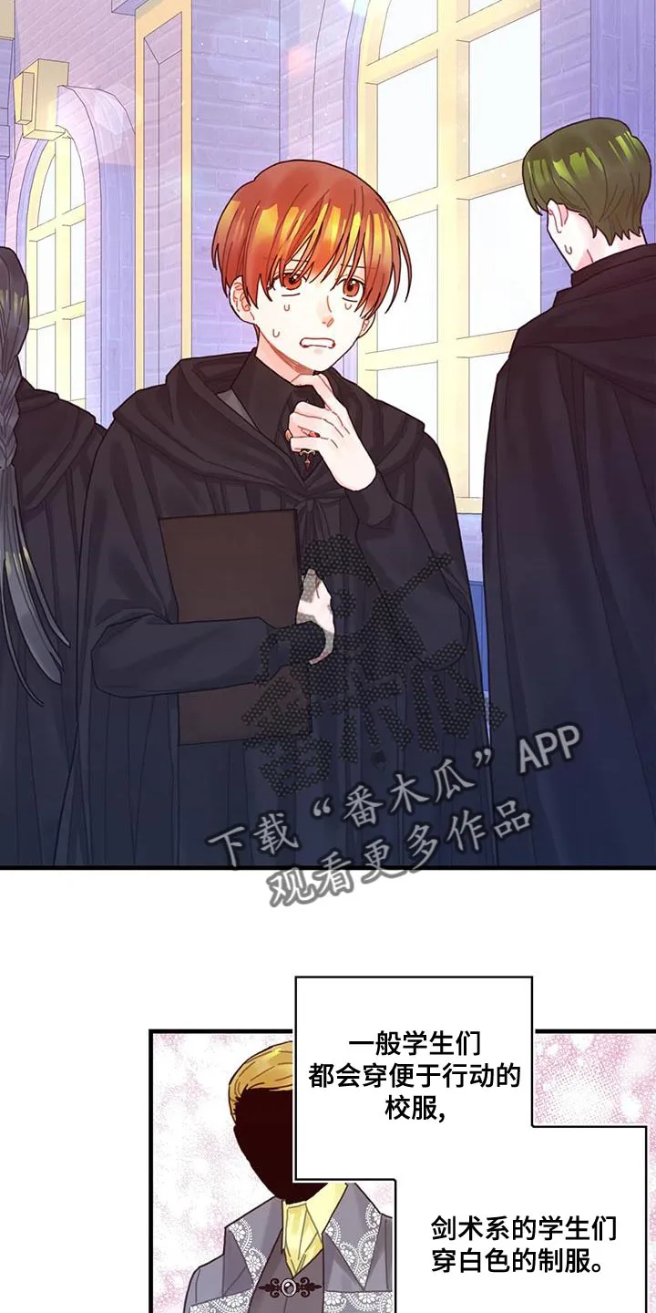 异界攻略漫画漫画,第65章：武斗会2图