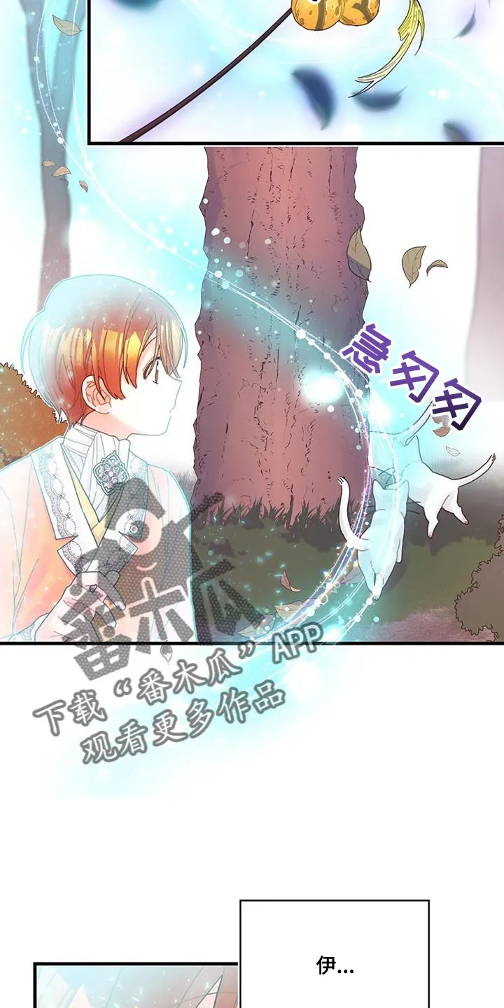 异界漫画小说漫画,第42章：变成猫28图
