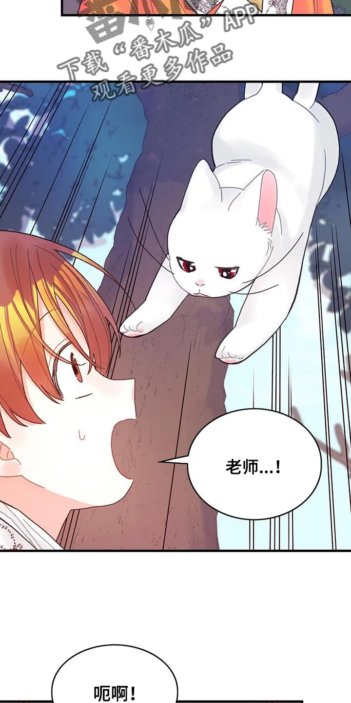 异界漫画小说漫画,第42章：变成猫21图