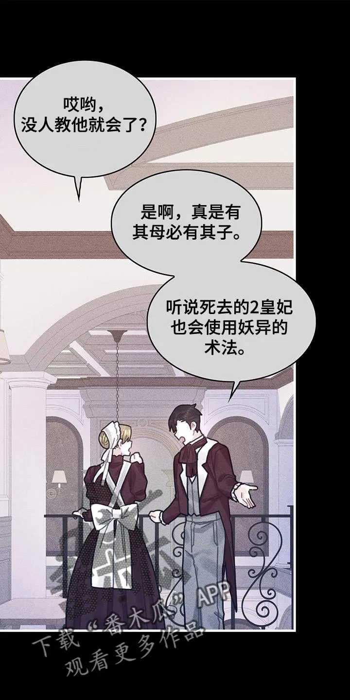 异界漫画小说漫画,第98章：我不喜欢猫13图
