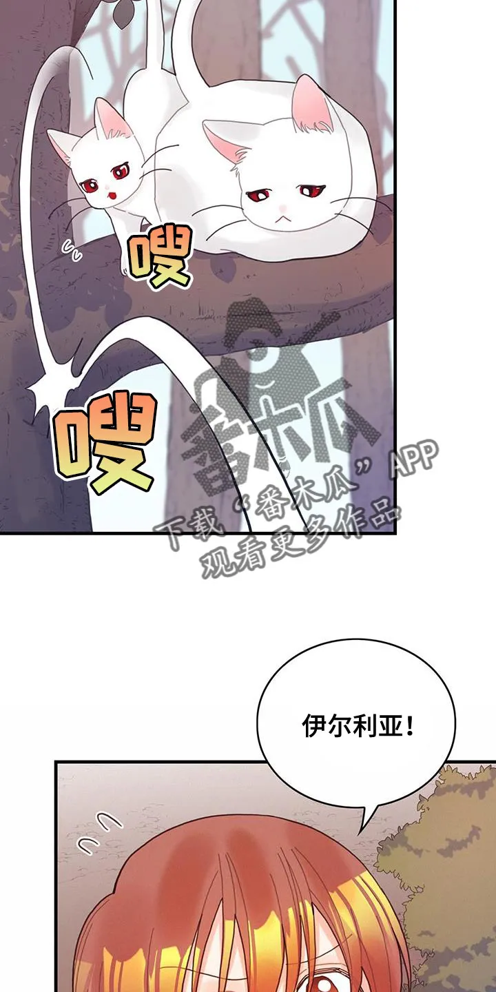 异界漫画小说漫画,第42章：变成猫13图