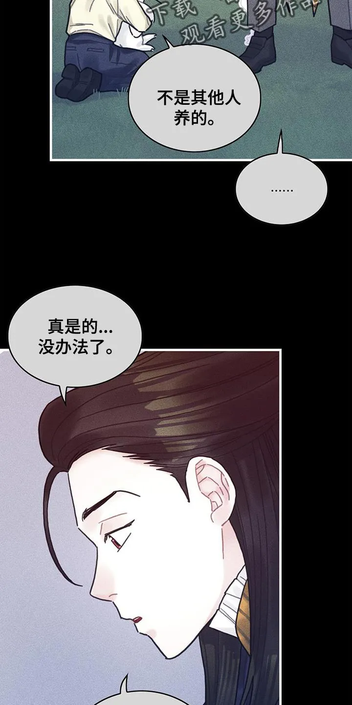 异界漫画小说漫画,第98章：我不喜欢猫28图