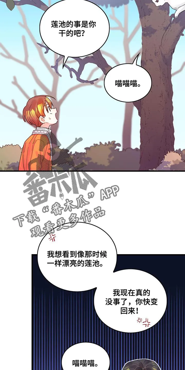 异界漫画小说漫画,第42章：变成猫18图