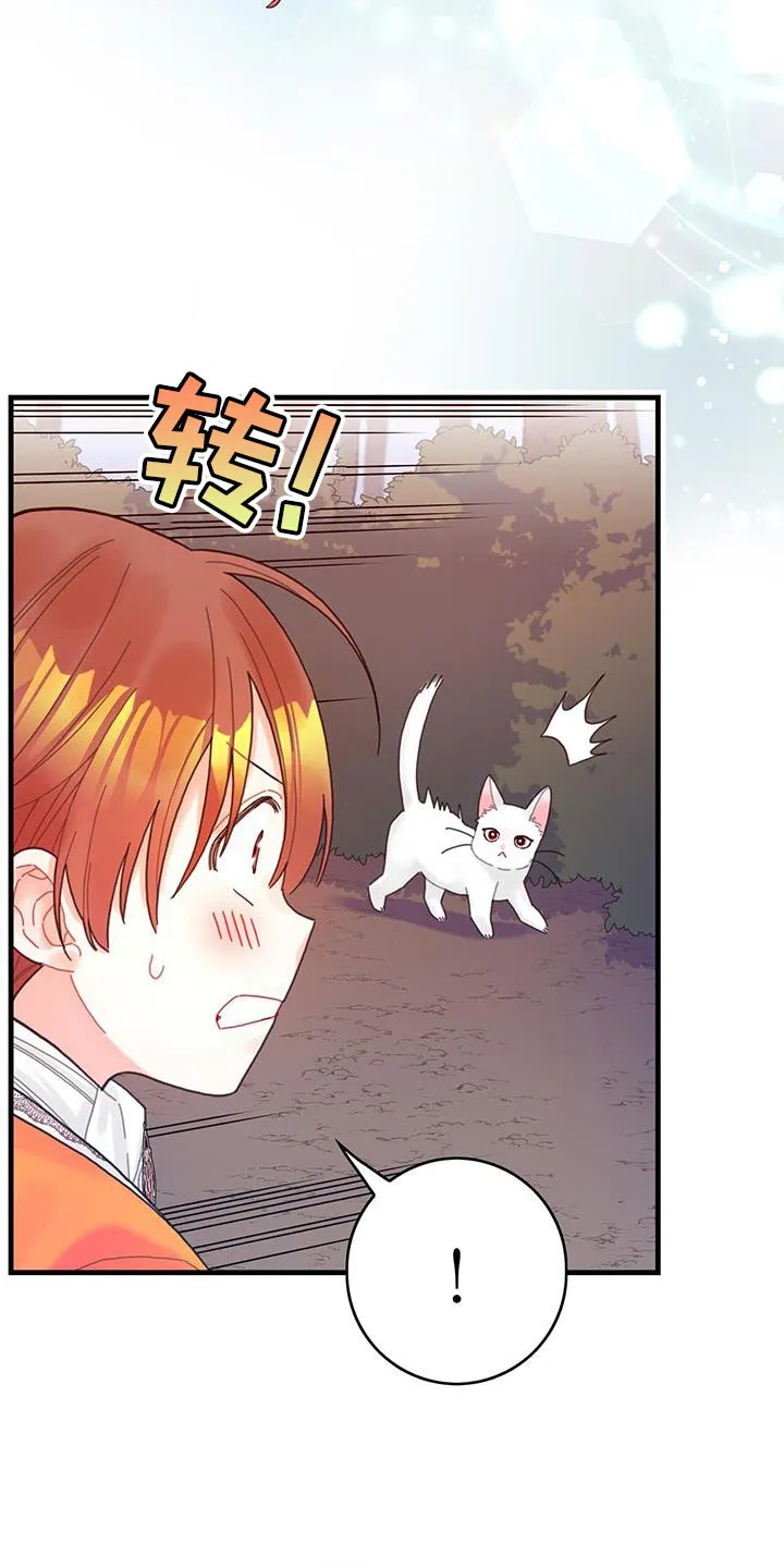 异界漫画小说漫画,第42章：变成猫11图
