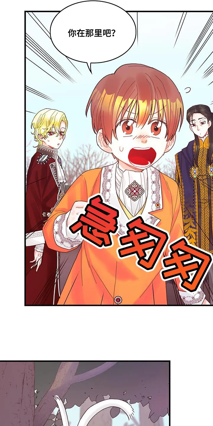 异界漫画小说漫画,第42章：变成猫12图