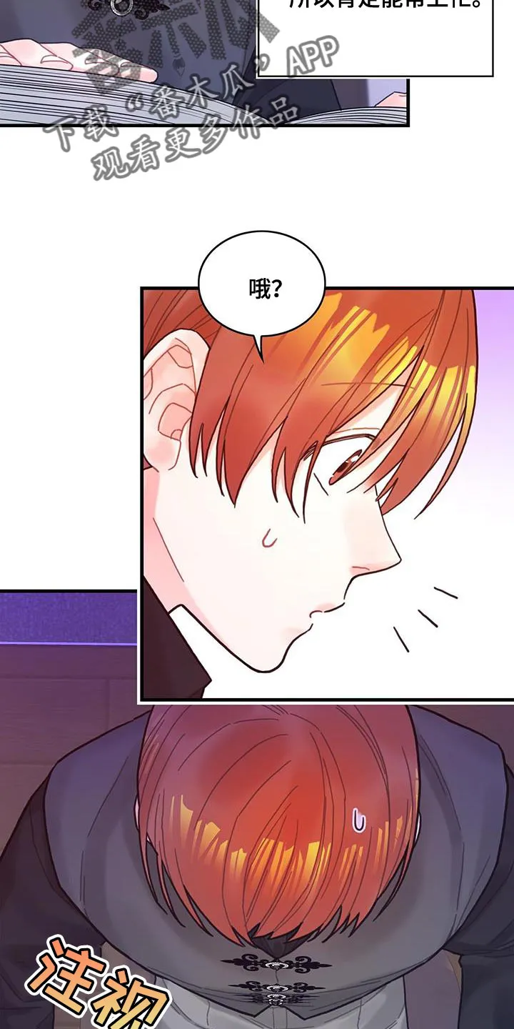 异界攻略漫画漫画,第61章：结局目录19图