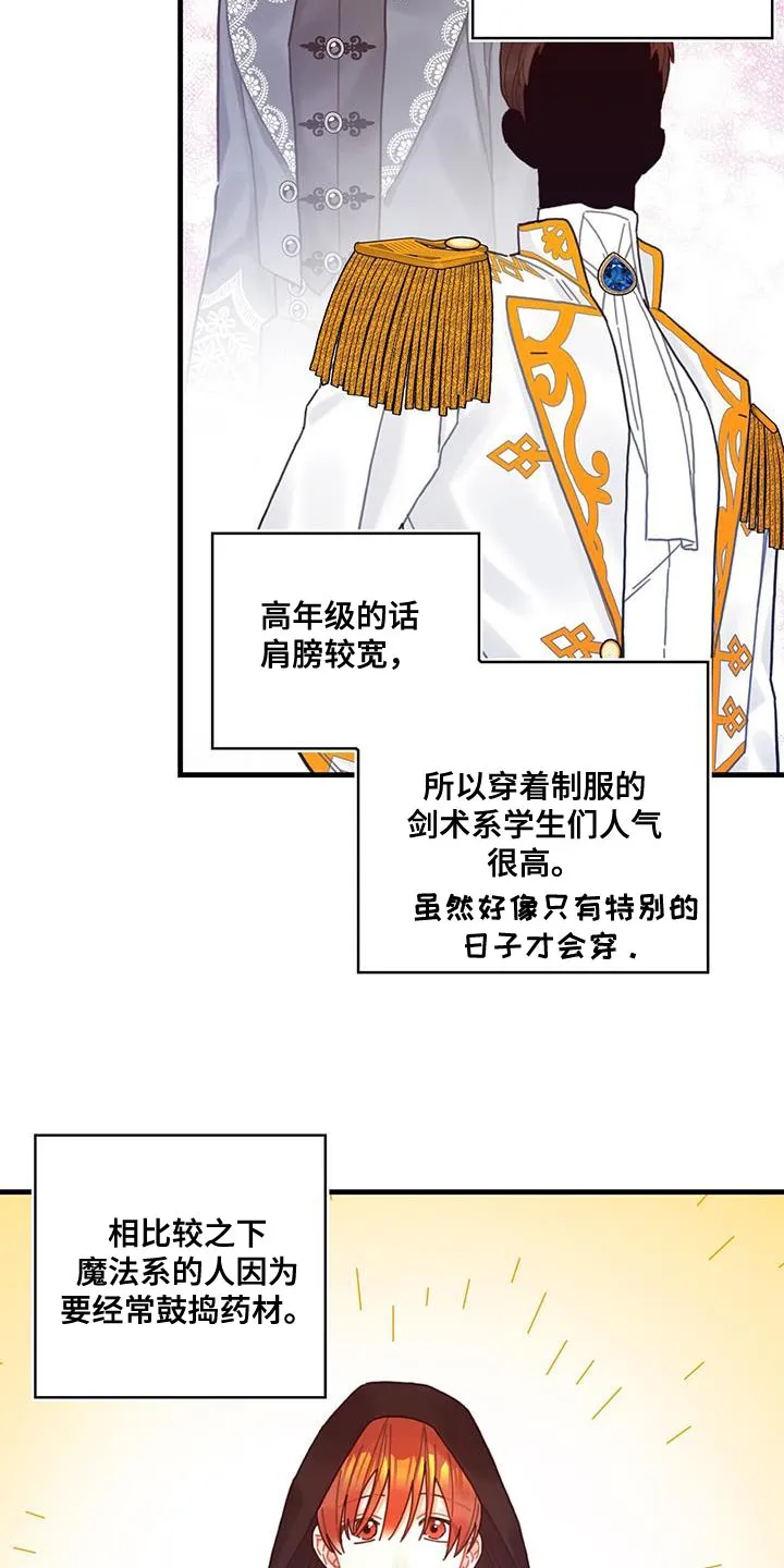 异界攻略漫画漫画,第65章：武斗会3图