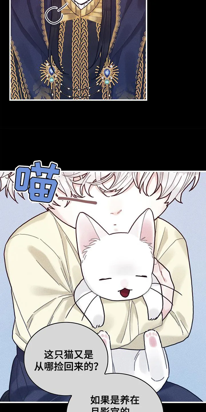 异界漫画小说漫画,第98章：我不喜欢猫26图
