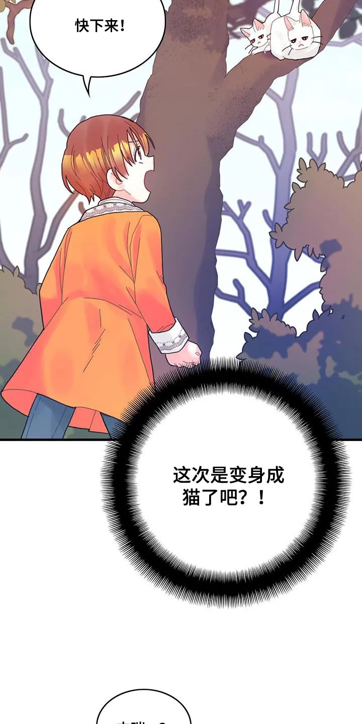 异界漫画小说漫画,第42章：变成猫15图