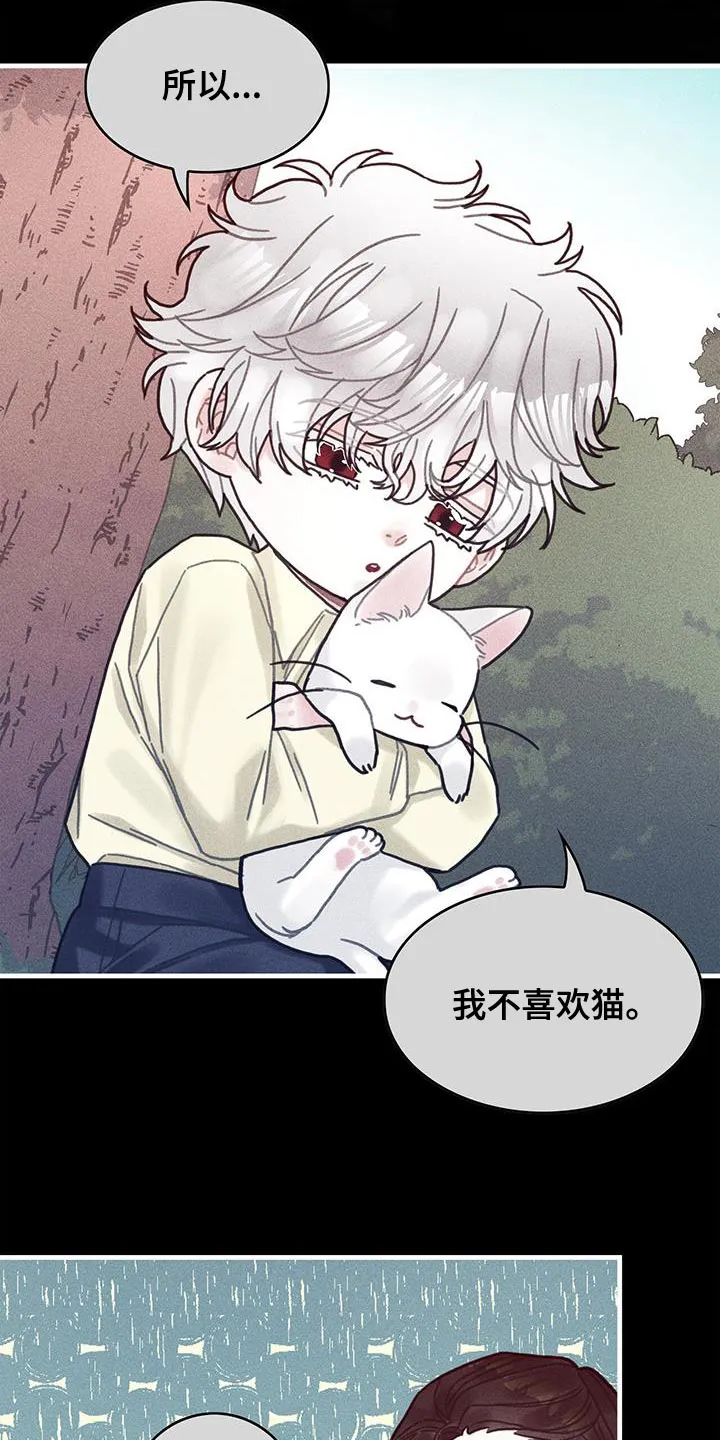 异界漫画小说漫画,第98章：我不喜欢猫32图