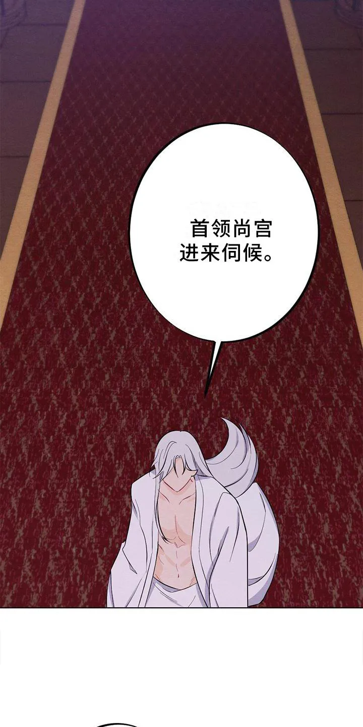 银狼的疼爱漫画漫画,第18章：擦药27图