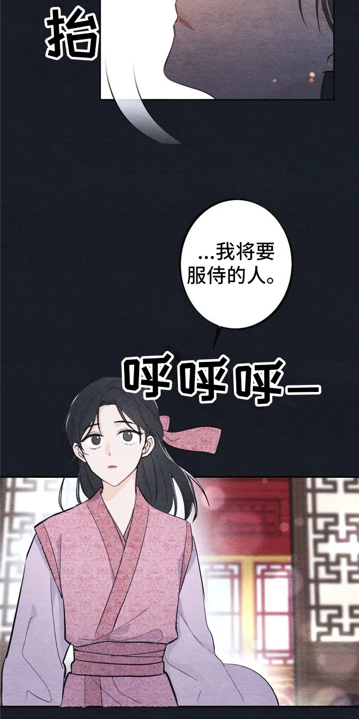 银狼的疼爱漫画76漫画,第1章：入宫10图