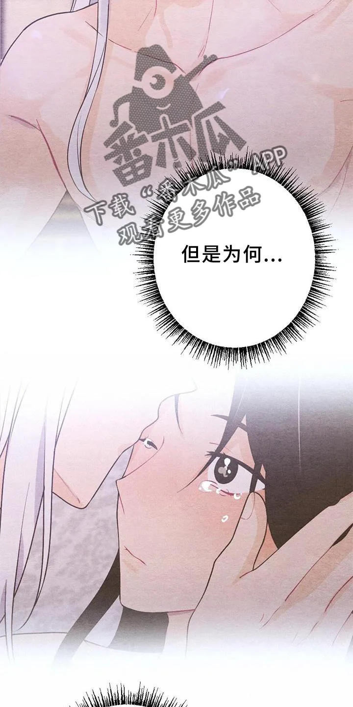 银狼的疼爱漫画漫画,第24章：传话9图